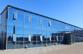 workshop 2 workshop 2